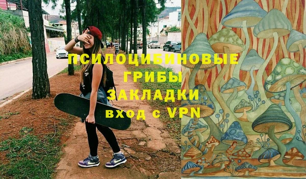 кокс Арсеньев