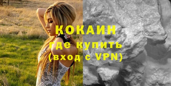 кокс Арсеньев
