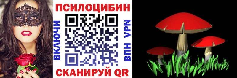 Галлюциногенные грибы GOLDEN TEACHER купить наркоту Бийск